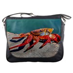 Colored Crab, Galapagos Island, Ecuador Messenger Bag Front