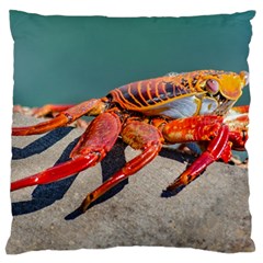 Colored Crab, Galapagos Island, Ecuador Large Flano Cushion Case (two Sides) by dflcprintsclothing