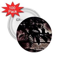 Dark Spring 2 25  Buttons (100 Pack)  by MRNStudios