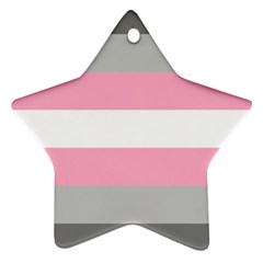 Demigirl Pride Flag Lgbtq Star Ornament (two Sides) by lgbtnation