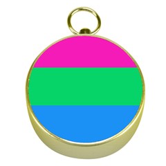 Polysexual Pride Flag Lgbtq Gold Compasses by lgbtnation