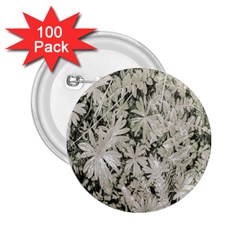 Pale Tropical Floral Print Pattern 2 25  Buttons (100 Pack)  by dflcprintsclothing