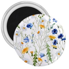 Summer Flowers 3  Magnets by goljakoff