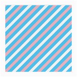 Transgender Pride Diagonal Stripes Pattern Medium Glasses Cloth (2 Sides) Front