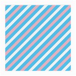 Transgender Pride Diagonal Stripes Pattern Medium Glasses Cloth (2 Sides) Back