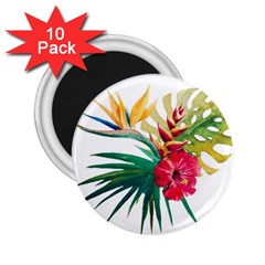 Tropical Flowers 2 25  Magnets (10 Pack)  by goljakoff