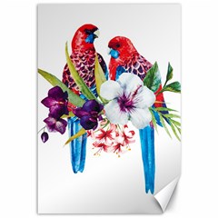 Tropical Parrots Canvas 12  X 18  by goljakoff