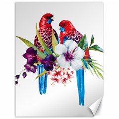 Tropical Parrots Canvas 18  X 24  by goljakoff