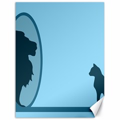 Cat Mirror Lion Canvas 18  X 24  by HermanTelo