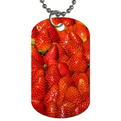 Colorful Strawberries At Market Display 1 Dog Tag (two Sides) by dflcprintsclothing