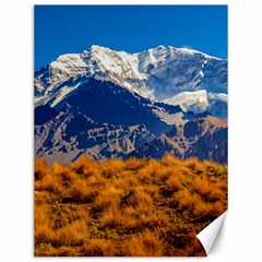 Aconcagua Park Landscape, Mendoza, Argentina Canvas 12  X 16  by dflcprintsclothing