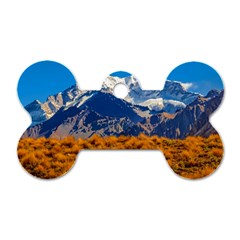 Aconcagua Park Landscape, Mendoza, Argentina Dog Tag Bone (two Sides) by dflcprintsclothing