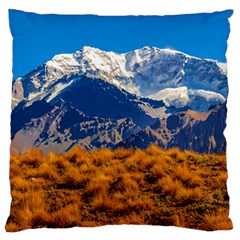 Aconcagua Park Landscape, Mendoza, Argentina Standard Flano Cushion Case (two Sides) by dflcprintsclothing