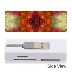 Landscape In A Colorful Structural Habitat Ornate Memory Card Reader (stick)