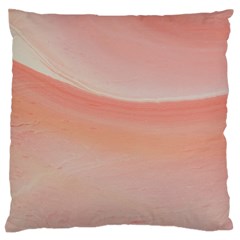 Pink Sky Large Flano Cushion Case (one Side)