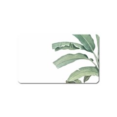 Palm Leaves Magnet (name Card) by goljakoff