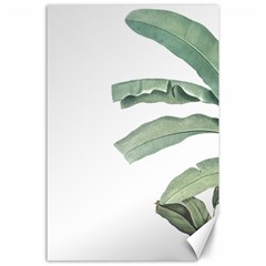 Palm Leaves Canvas 24  X 36  by goljakoff