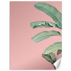 Palm Leaf On Pink Canvas 36  X 48  by goljakoff