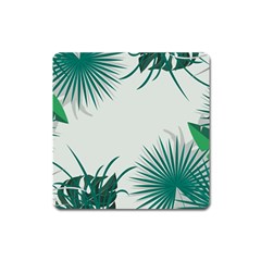 Illustrations Foliage Background Border Square Magnet