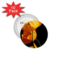 Yellow Poppies 1 75  Buttons (10 Pack) by Audy