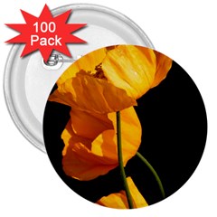 Yellow Poppies 3  Buttons (100 Pack)  by Audy