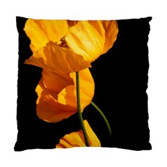 Yellow Poppies Standard Cushion Case (two Sides) by Audy