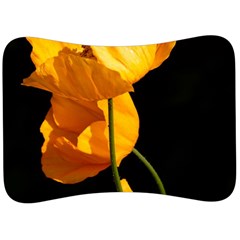 Yellow Poppies Velour Seat Head Rest Cushion by Audy