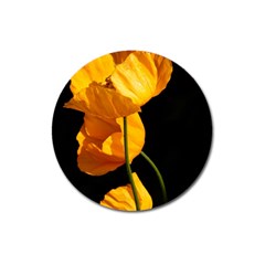 Yellow Poppies Magnet 3  (round) by Audy