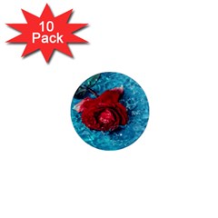 Red Roses In Water 1  Mini Magnet (10 Pack) 