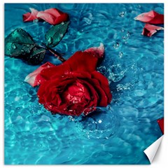 Red Roses In Water Canvas 12  X 12  by Audy