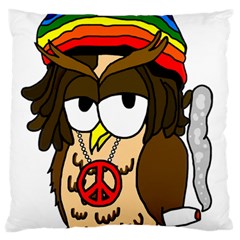  Rainbow Stoner Owl Large Flano Cushion Case (one Side) by IIPhotographyAndDesigns