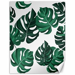 Illustrations Monstera Leafes Canvas 12  X 16  by Alisyart