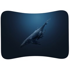 Whales Family Velour Seat Head Rest Cushion by goljakoff