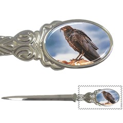 Black Crow Standing At Rock Letter Opener by dflcprintsclothing