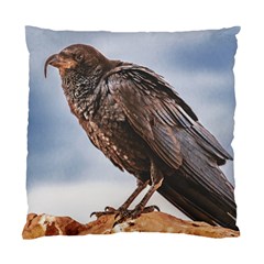 Black Crow Standing At Rock Standard Cushion Case (one Side) by dflcprintsclothing