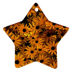 Rudbeckias  Star Ornament (two Sides) by Sobalvarro