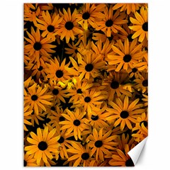 Rudbeckias  Canvas 36  X 48  by Sobalvarro