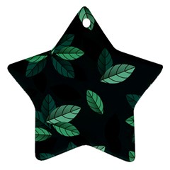 Foliage Ornament (Star)