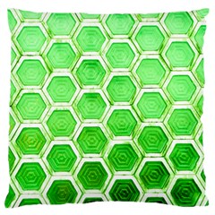 Hexagon Windows Standard Flano Cushion Case (two Sides) by essentialimage