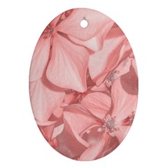 Coral Colored Hortensias Floral Photo Oval Ornament (two Sides) by dflcprintsclothing