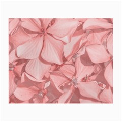 Coral Colored Hortensias Floral Photo Small Glasses Cloth by dflcprintsclothing