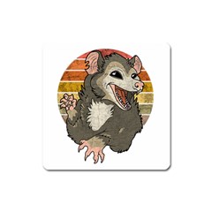 Possum  Square Magnet