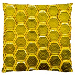 Hexagon Windows Large Cushion Case (two Sides) by essentialimage