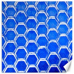 Hexagon Windows Canvas 20  X 20  by essentialimage