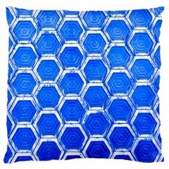 Hexagon Windows Standard Flano Cushion Case (two Sides) by essentialimage