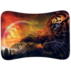 Tiger King In A Fantastic Landscape From Fonebook Velour Seat Head Rest Cushion by 2853937