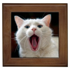 Wow Kitty Cat From Fonebook Framed Tile by 2853937