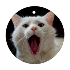 Wow Kitty Cat From Fonebook Ornament (round) by 2853937