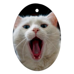 Wow Kitty Cat From Fonebook Ornament (oval) by 2853937