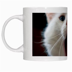 Wow Kitty Cat From Fonebook White Mugs by 2853937